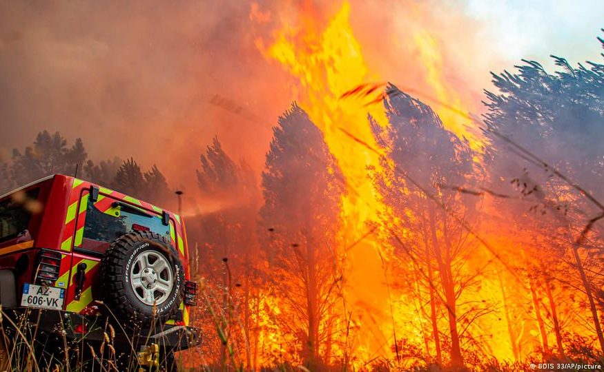 Alat-pemadam-api-surabaya-untuk-Hutan-875x540
